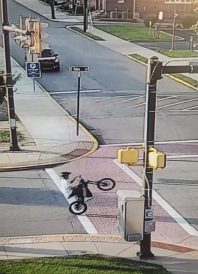 article image - e-bikes 1